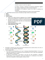 Реферат: Mitosis Essay Research Paper MITOSISMitosis is the